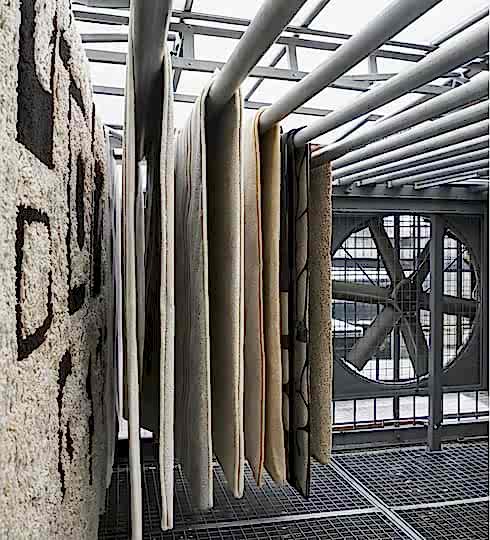 Carpet Washing and Cleaning Services